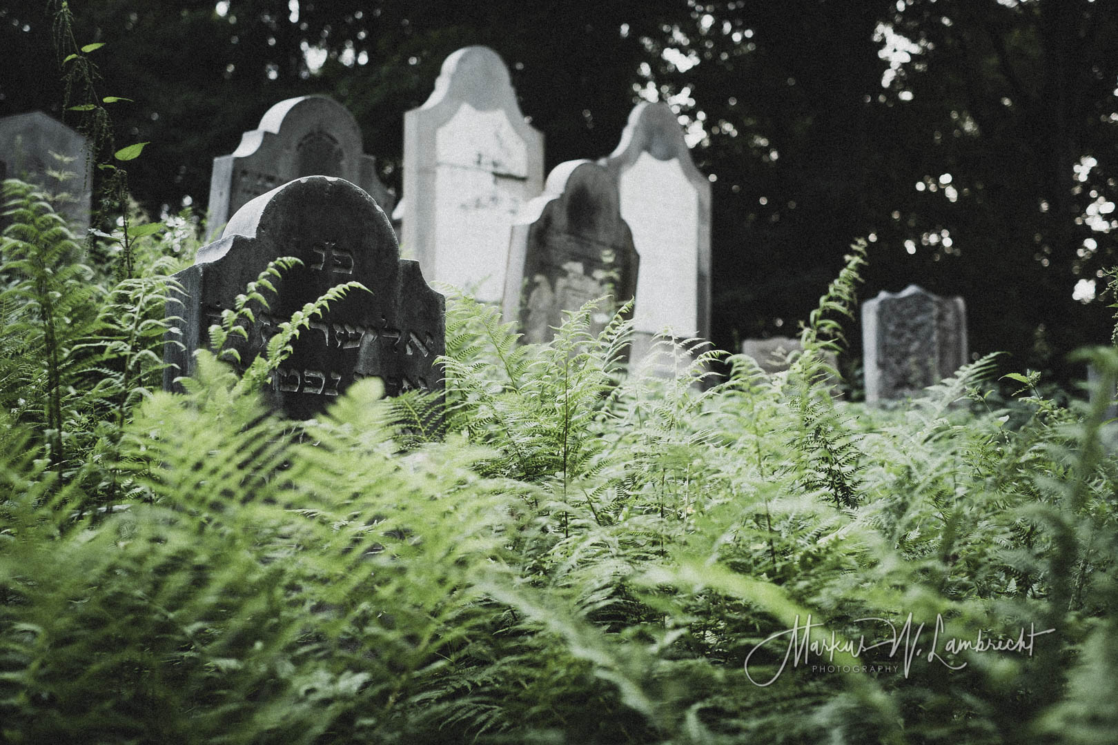 Bückeburg, Jüdischer Friedhof